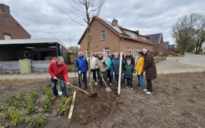 Boomplanting door 100-jarige Hay Janssen