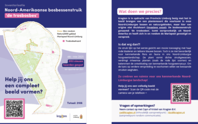 Inventarisatie Amerikaanse bosbessenstruik ‘de trosbosbes’